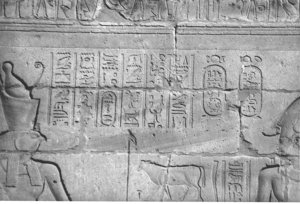 Photo »4409« aus dem Edfu-Projekt.