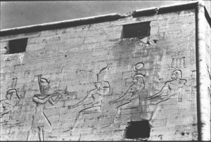 Photo »73« of the Edfu-Project.