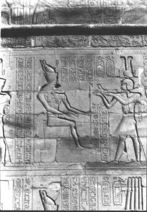 Photo »393« aus dem Edfu-Projekt.