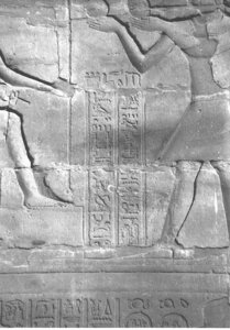 Photo »4389« of the Edfu-Project.