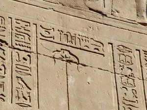 Photo »D05_1681« aus dem Edfu-Projekt.