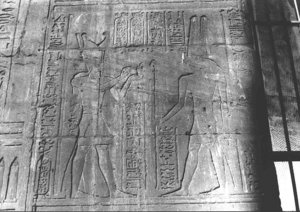 Photo »2707« aus dem Edfu-Projekt.