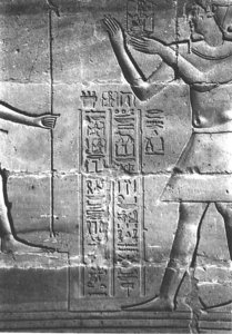 Photo »4027« aus dem Edfu-Projekt.