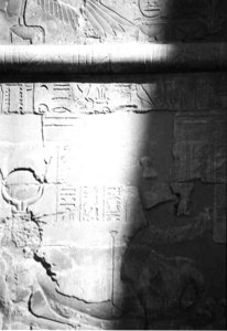 Photo »4246« aus dem Edfu-Projekt.