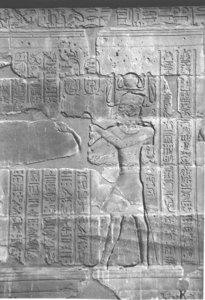 Photo »4267« aus dem Edfu-Projekt.
