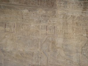 Photo »D05_5377« of the Edfu-Project.