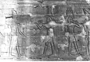 Photo »266« aus dem Edfu-Projekt.