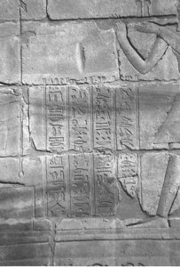 Photo »4322« aus dem Edfu-Projekt.