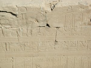 Photo »D03_1093« aus dem Edfu-Projekt.