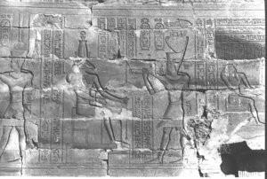 Photo »364« aus dem Edfu-Projekt.