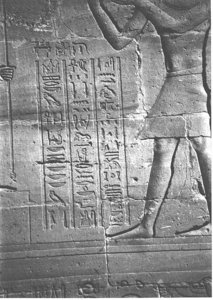 Photo »3996« aus dem Edfu-Projekt.