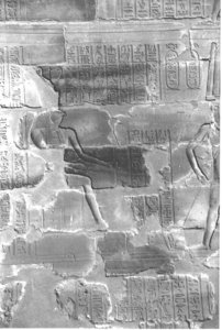 Photo »4187« aus dem Edfu-Projekt.