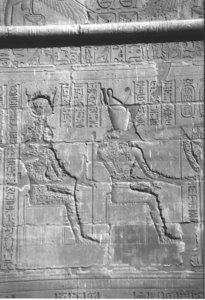 Photo »4256« aus dem Edfu-Projekt.