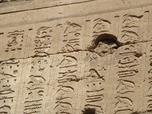 Photo »D05_1202« aus dem Edfu-Projekt.