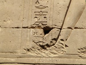 Photo »D05_1338« aus dem Edfu-Projekt.