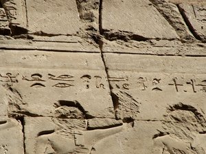 Photo »D05_1734« aus dem Edfu-Projekt.