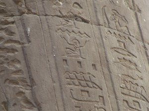 Photo »D05_6987« of the Edfu-Project.