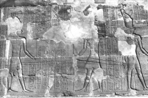 Photo »315« aus dem Edfu-Projekt.