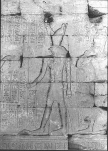 Photo »802« of the Edfu-Project.