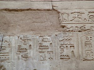 Photo »D05_3458« aus dem Edfu-Projekt.