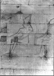 Photo »926« of the Edfu-Project.