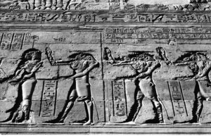Photo »1193« aus dem Edfu-Projekt.