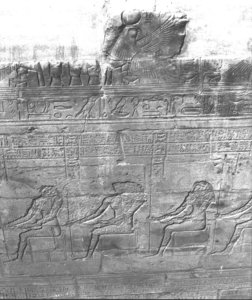 Photo »3045« aus dem Edfu-Projekt.