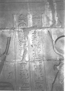 Photo »4164« aus dem Edfu-Projekt.