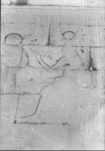 Photo »865« of the Edfu-Project.