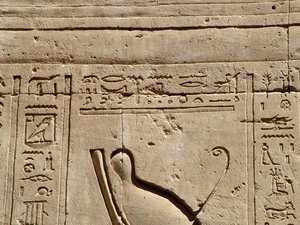 Photo »D05_1538« aus dem Edfu-Projekt.
