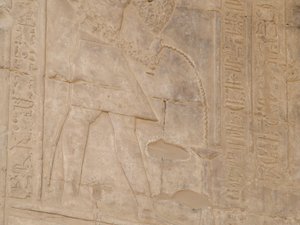 Photo »D05_5707« of the Edfu-Project.