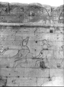 Photo »1009« aus dem Edfu-Projekt.