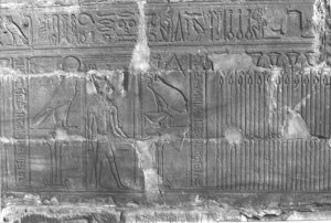 Photo »233« aus dem Edfu-Projekt.