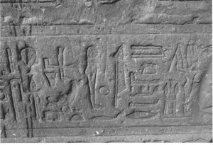 Photo »3784« aus dem Edfu-Projekt.