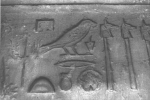 Photo »3860« aus dem Edfu-Projekt.