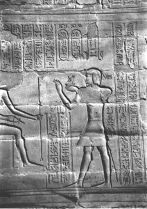 Photo »4012« aus dem Edfu-Projekt.