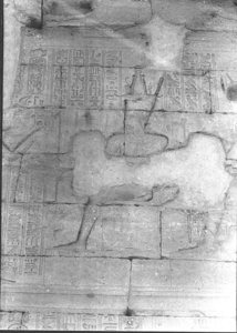 Photo »923« of the Edfu-Project.