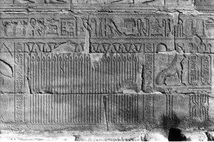 Photo »204« of the Edfu-Project.