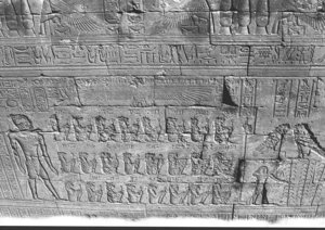 Photo »3013« aus dem Edfu-Projekt.