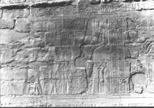 Photo »2701« aus dem Edfu-Projekt.