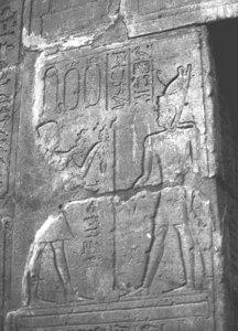 Photo »3305« of the Edfu-Project.
