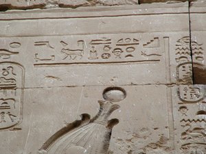 Photo »D05_3548« aus dem Edfu-Projekt.