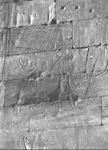 Photo »2538« of the Edfu-Project.