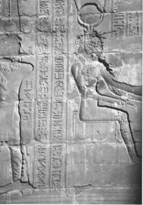 Photo »4247« aus dem Edfu-Projekt.