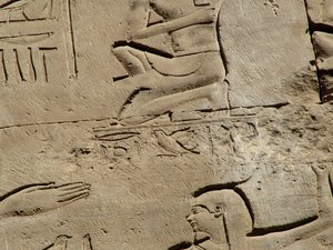 Photo »D05_1736« aus dem Edfu-Projekt.