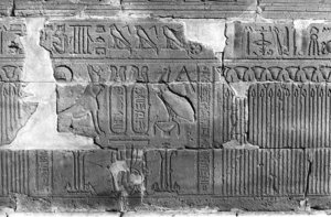 Photo »218« aus dem Edfu-Projekt.