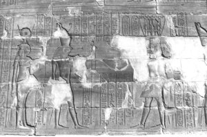 Photo »297« aus dem Edfu-Projekt.
