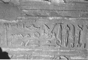 Photo »3797« aus dem Edfu-Projekt.