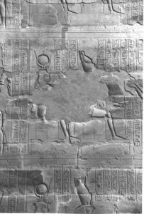 Photo »4141« aus dem Edfu-Projekt.