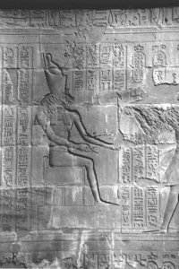Photo »4265« aus dem Edfu-Projekt.